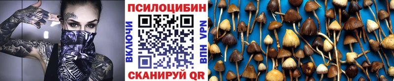 дарнет шоп Серафимович Псилоцибиновые грибы мицелий