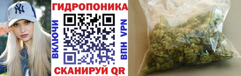 Конопля индика  купить наркотики цена  Серафимович 